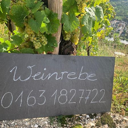 Weinrebe Lejlighed Bernkastel-Kues Eksteriør billede
