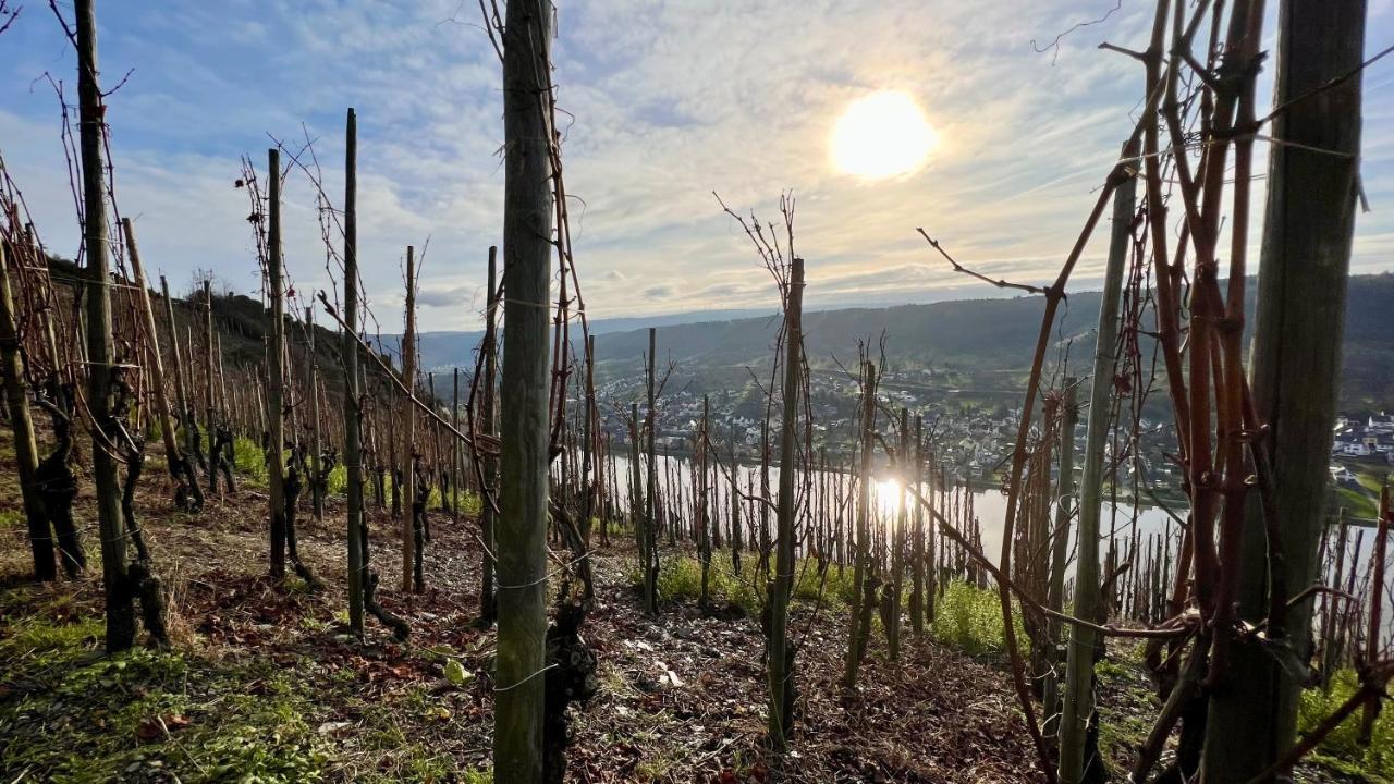 Weinrebe Lejlighed Bernkastel-Kues Eksteriør billede